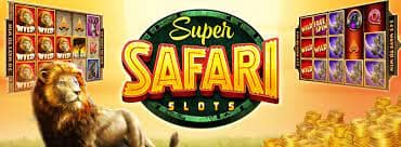 Unleashing the Excitement A Deep Dive into SlotsSafari Tournaments.txt